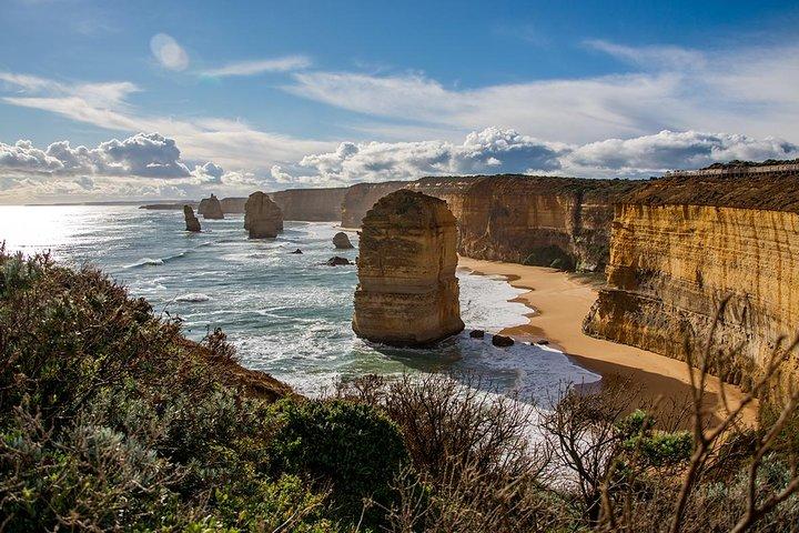 Great Ocean Road, 12 Apostles, Rainforest & Morning Tea-Melbourne