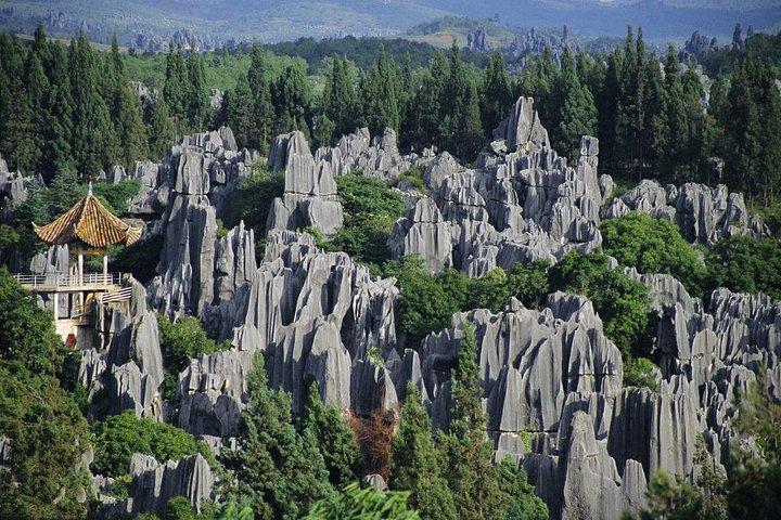 1 Day Stone Forest & Jiuxiang Cave Tour