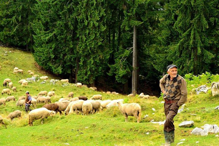 Carpathians in Romania: Piatra Craiului National Park with native Spanish guide.
