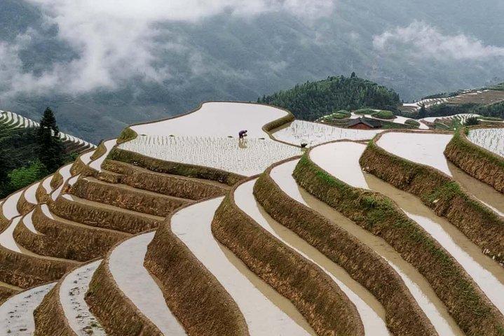 Longji Rice Terraces and Minority Village Day Tour