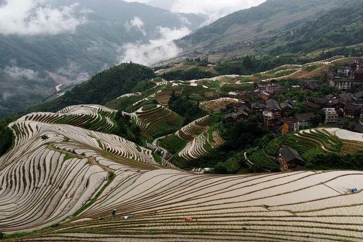 Longji Rice Terraces and Minority Village Day Tour