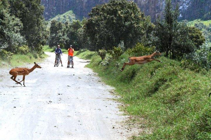 Hells Gate Excursion in Naivasha