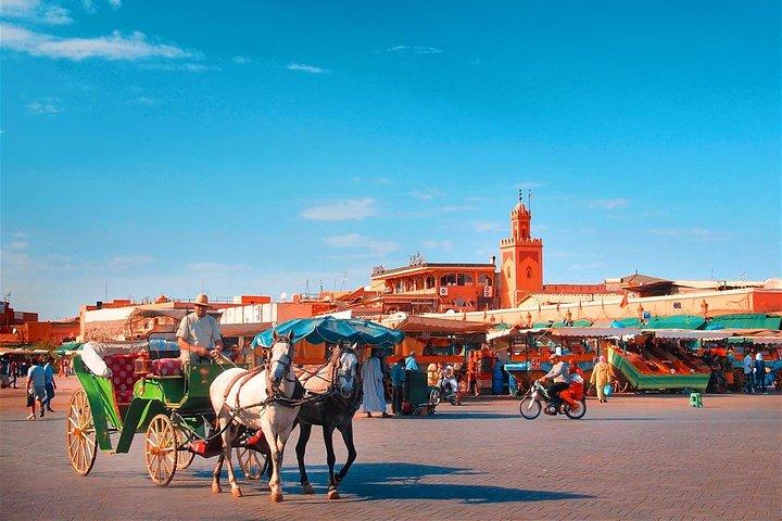 Marrakech Guided city tour