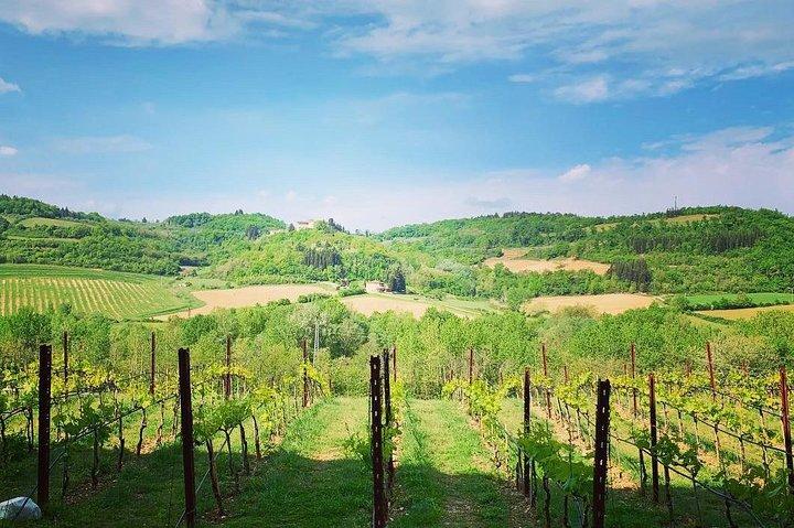 Private Tour, Pisa and Lucca Day Trip with Wine Cellar