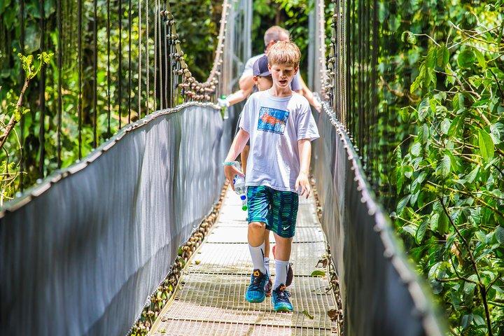 Arenal Hanging Bridges, Guided Walk, Hot Springs Optional