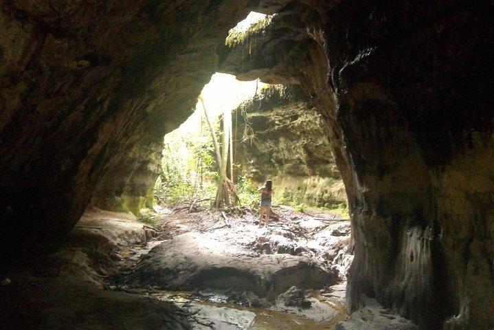 Amazon Rainforest Tour, Trails, Jungle, Caves and Waterfalls
