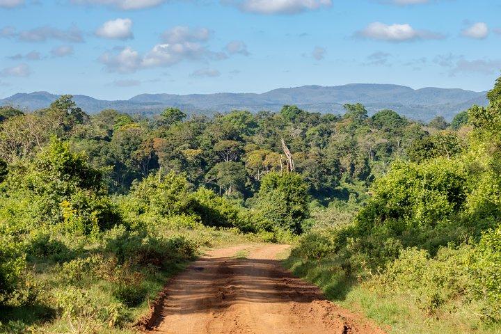 Aberdare National Park - Two Day Tour