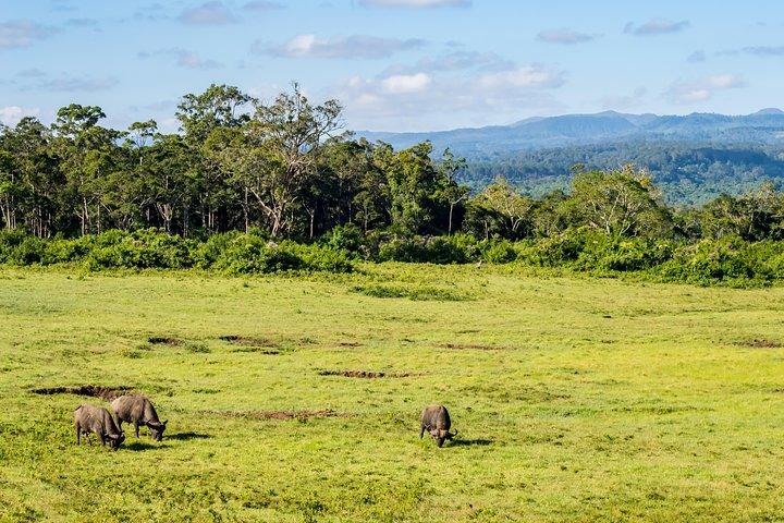 Aberdare National Park - Two Day Tour