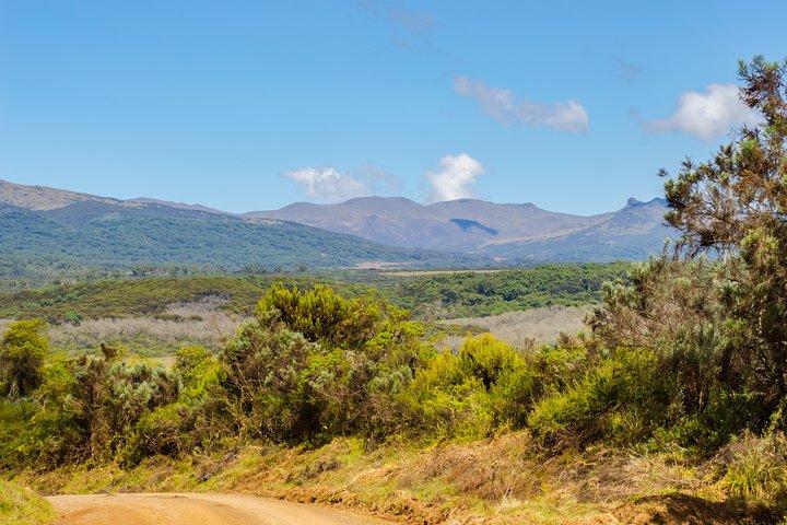 Aberdare National Park - Two Day Tour