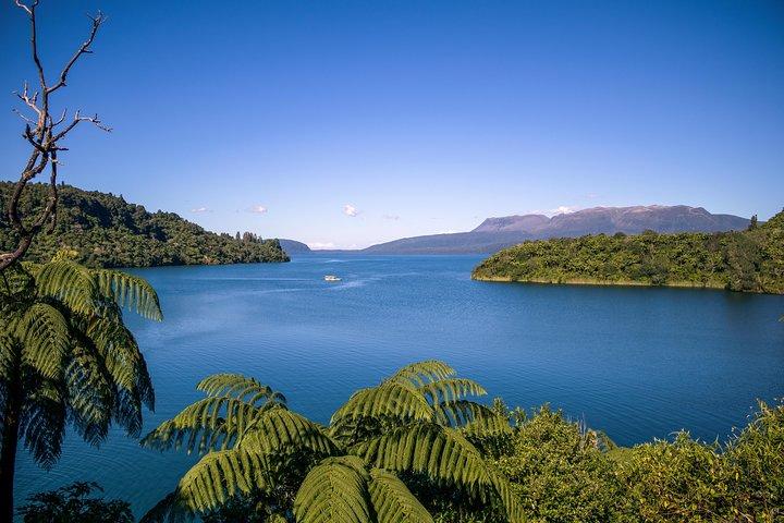Tarawera and Rotorua Lakes Eco Tour by Boat with Guide
