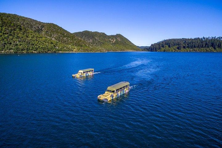 Tarawera and Rotorua Lakes Eco Tour by Boat with Guide