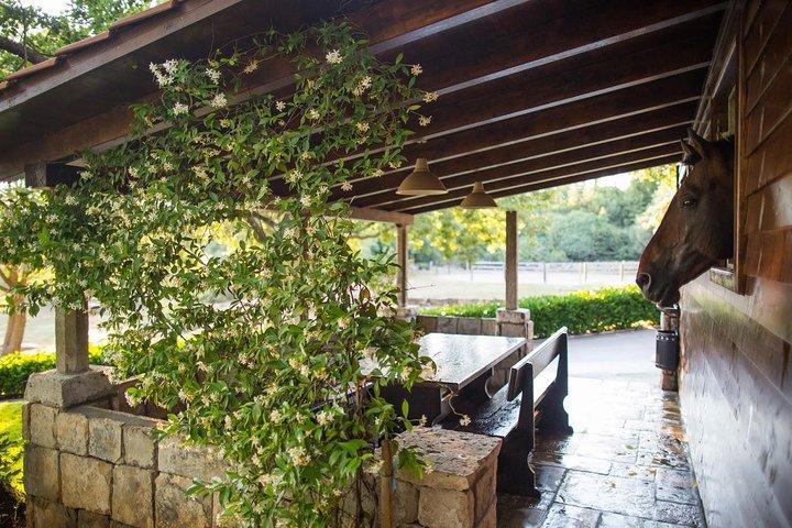 Horseback Riding in Konavle Region with Transport from Dubrovnik