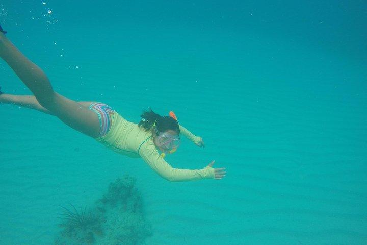 Fajardo Afternoon Snorkeling Adventure Tour
