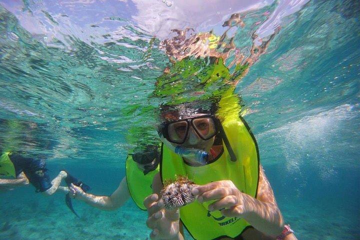 Fajardo Afternoon Snorkeling Adventure Tour