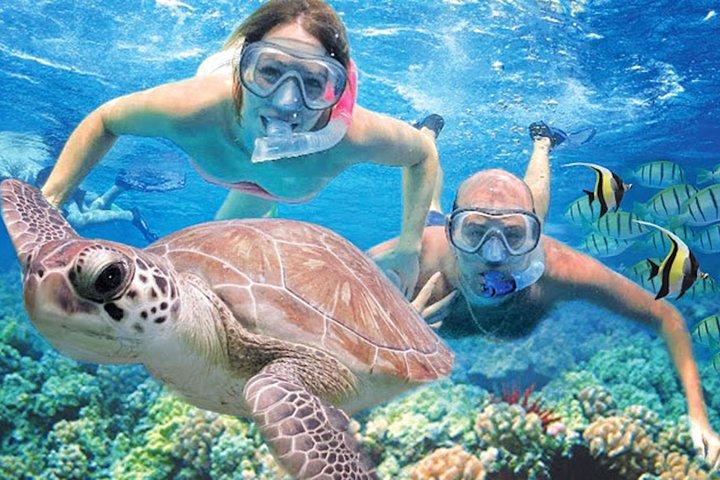 Kauai’s Ultimate Guided Shore Snorkel (NO BOAT) in South Poipu