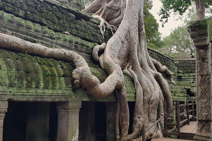 1day Private tour, Angkor sunrise,all main temples, Banteay srei