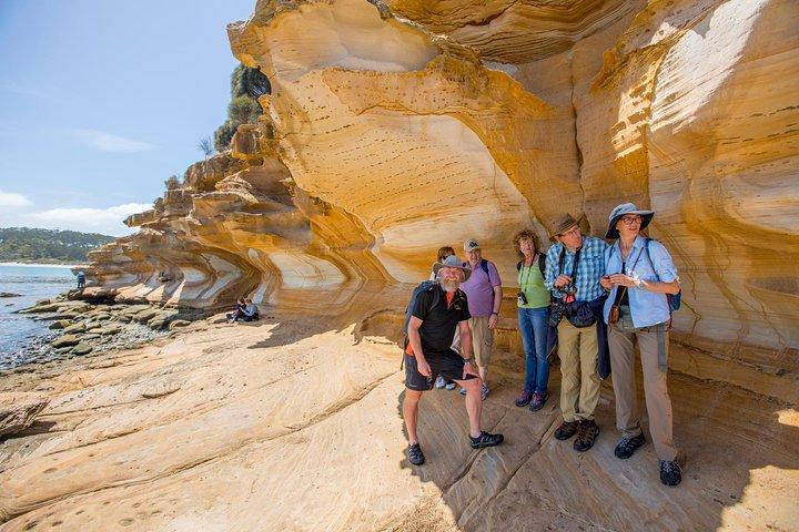 Hobart: Maria Island National Park, Nature & Wildlife active tour