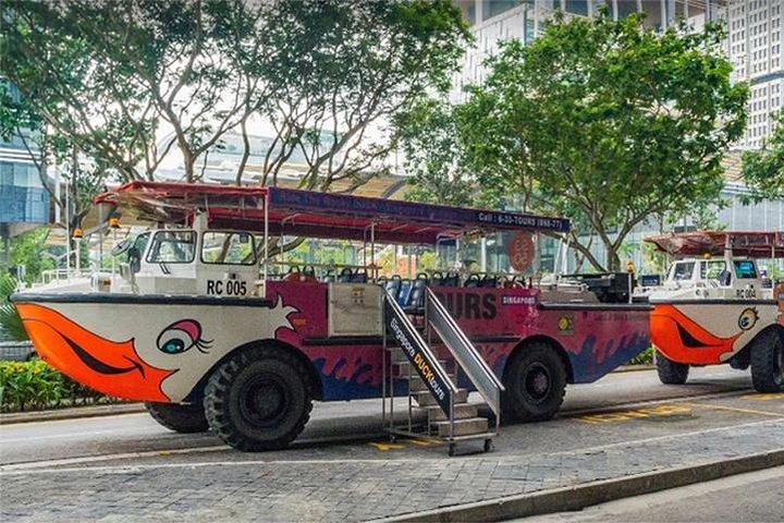 Private Tour:Singapore National Museum and Singapore Flyer and Ducktour