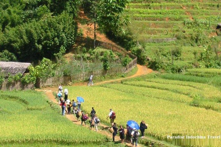 Sapa 2 Day Tour By Bus from Hanoi: Trekking, Homestay, Expressway