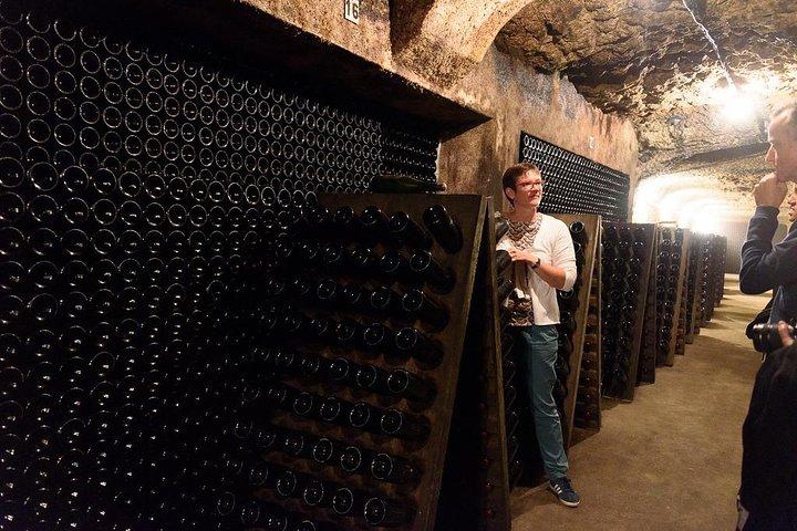 Tour of a Vineyard, Winery & Cellar with Wine Tasting in Vouvray, Loire Valley