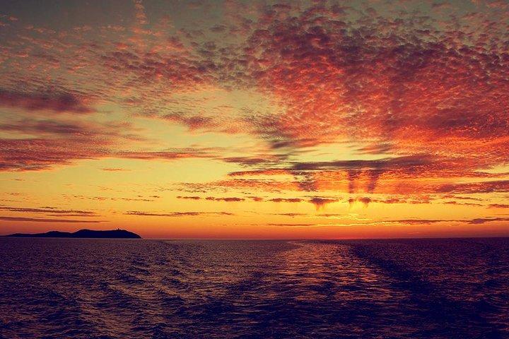 Sunset Beach Hopping Cruise, Cala Comte and Cala Bassa, SUP and snorkelling