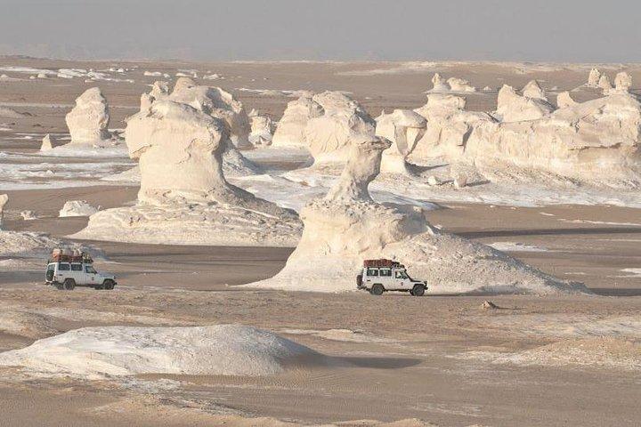 2 Days White Desert and Bahariya Oasis Tour
