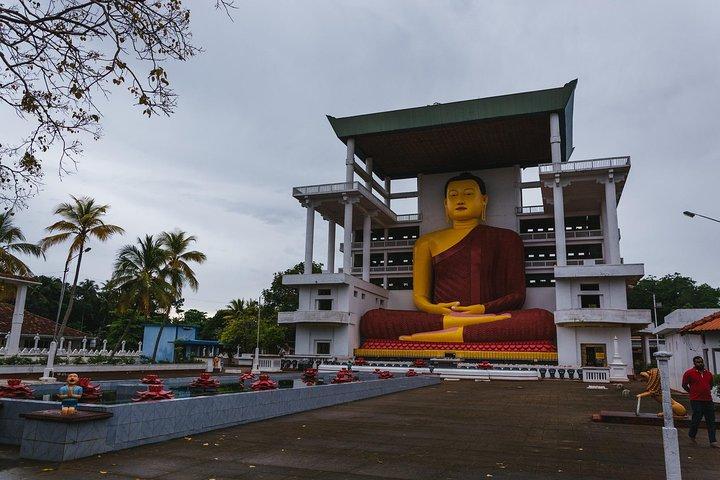 Temples and Wilderness from Colombo (2 Days)