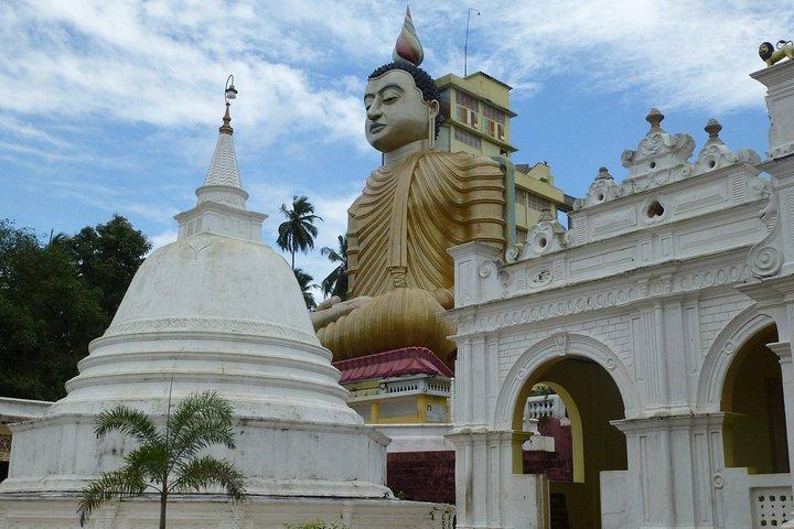 Temples and Wilderness from Colombo (2 Days)
