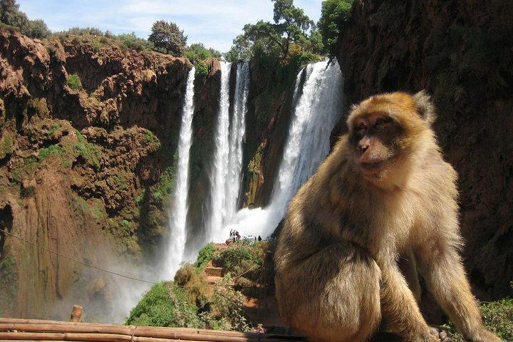 Private day trip to Ouzoud waterfalls from Marrakech