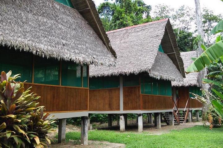 3 days 2 nights - Tambopata Jungle