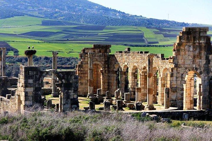 From Fez to Volubilis ,Moulay Idriss & Meknes Day Trip