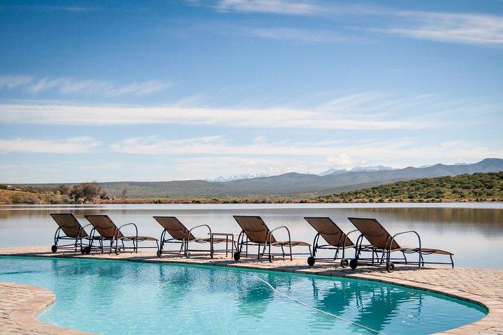 2 Day Wild Heart Western Cape Safari Tour with Private Transfers