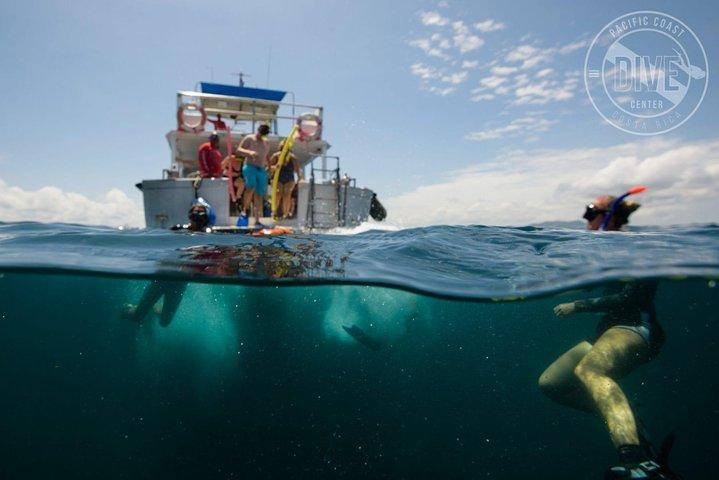 Snorkeling at Catalina Islands & North Island - CR