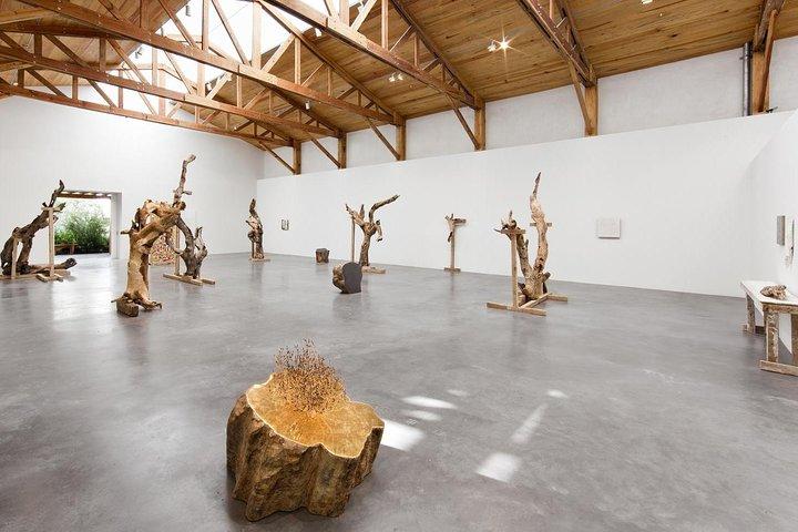 Mexico City Private Gallery Tour