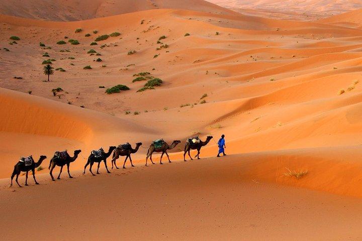 Morocco shared desert tour 3 days