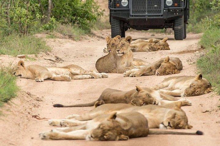 7 Days Rent a Tanzania Cruiser (Pop-up Roof For Game Viewing)
