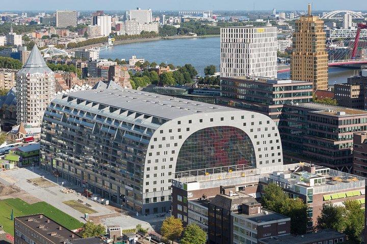 Private Highlights & Art Walking Tour: Markthal, Zadkine, Street Art and Depot