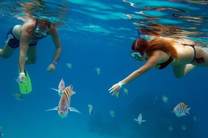 Official Chankanaab Park Admission and Snorkeling with Lunch