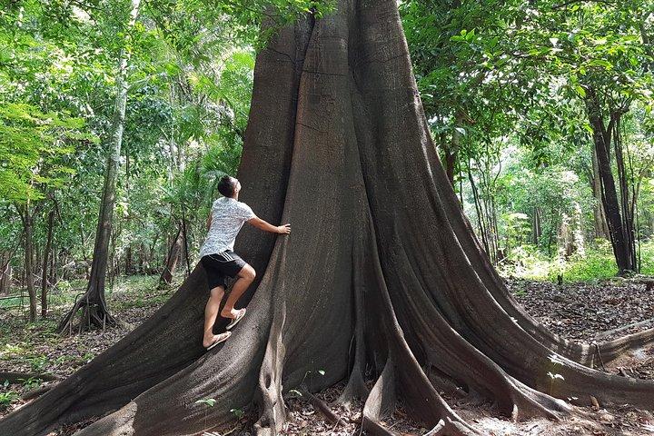Adventure: 4-hour hike in the Amazon rainforest