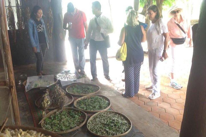 Full-Day Phnom Penh City & Silk Island with a local Tuk Tuk Tours