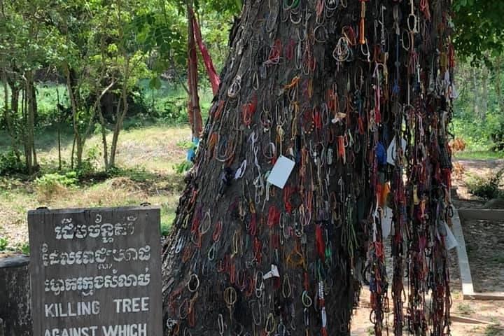 Half-Day Killing Field & Tuol Sleng Genocidal Museum with a local Tuk Tuk Tours