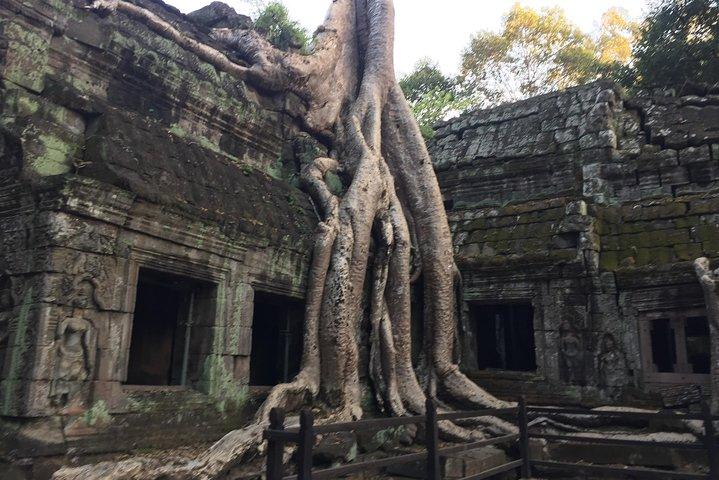 Private Angkor Wat Best Pink Temple Private Tour