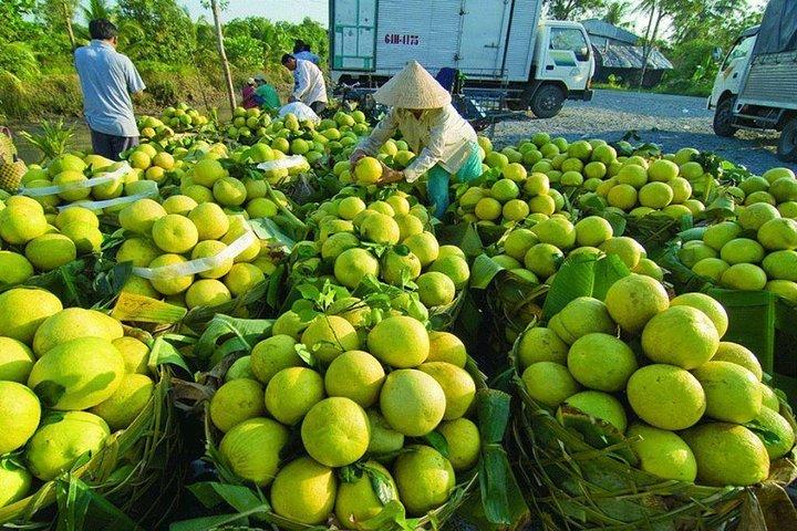 Mekong River 1 Day Group Tour