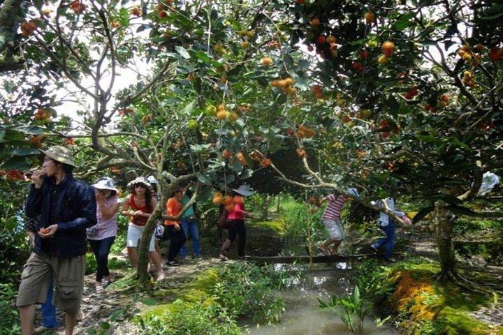 Mekong River 1 Day Group Tour