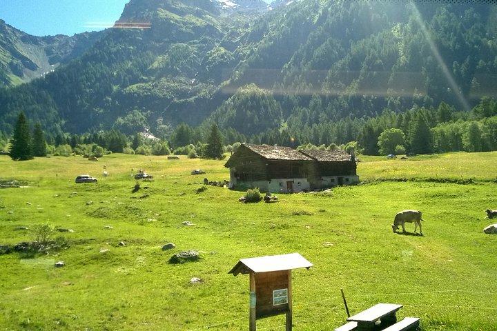 Private tour to Bernina train & Lake Como. Hotel pick-up
