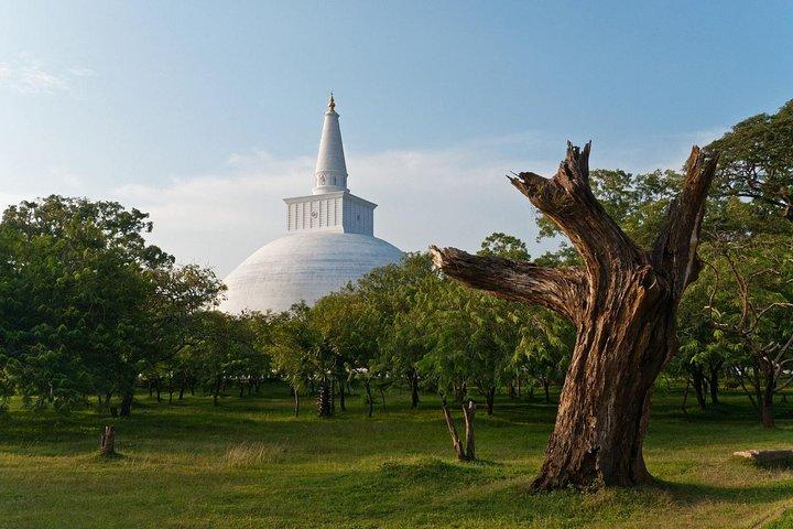Wild Wonders and Sacred Spaces Tour from Galle (2 Days)