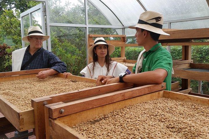 Coffee and Culture in Santa Rosa de Cabal