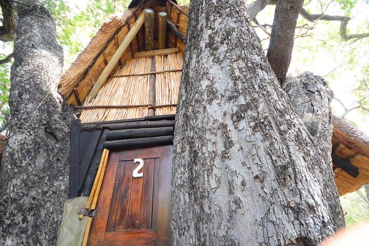 5 Day Lodge and Treehouse Kruger National Park Safari