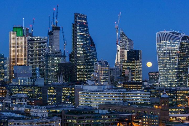 Private 8-hour Tour of London: Private driver and licensed guide