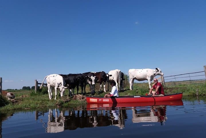 Guided Canoe Adventure with Picnic Lunch in Waterland from Amsterdam